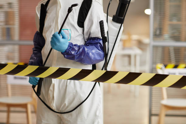 Professional Sewage Cleanup technician working in Tyler, MN